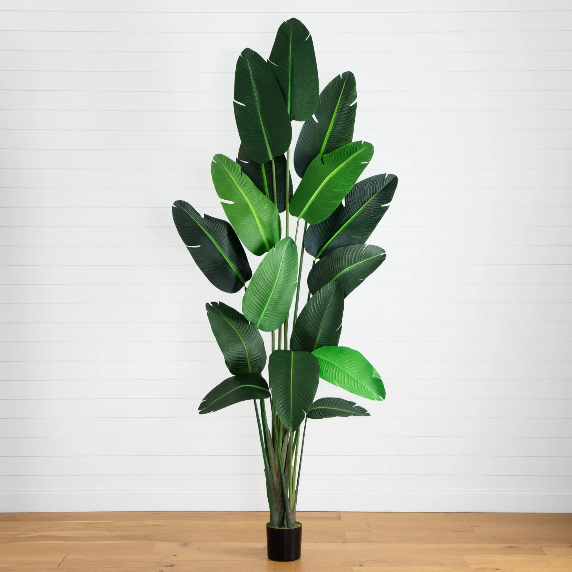 10’ Artificial Travelers Palm Tree