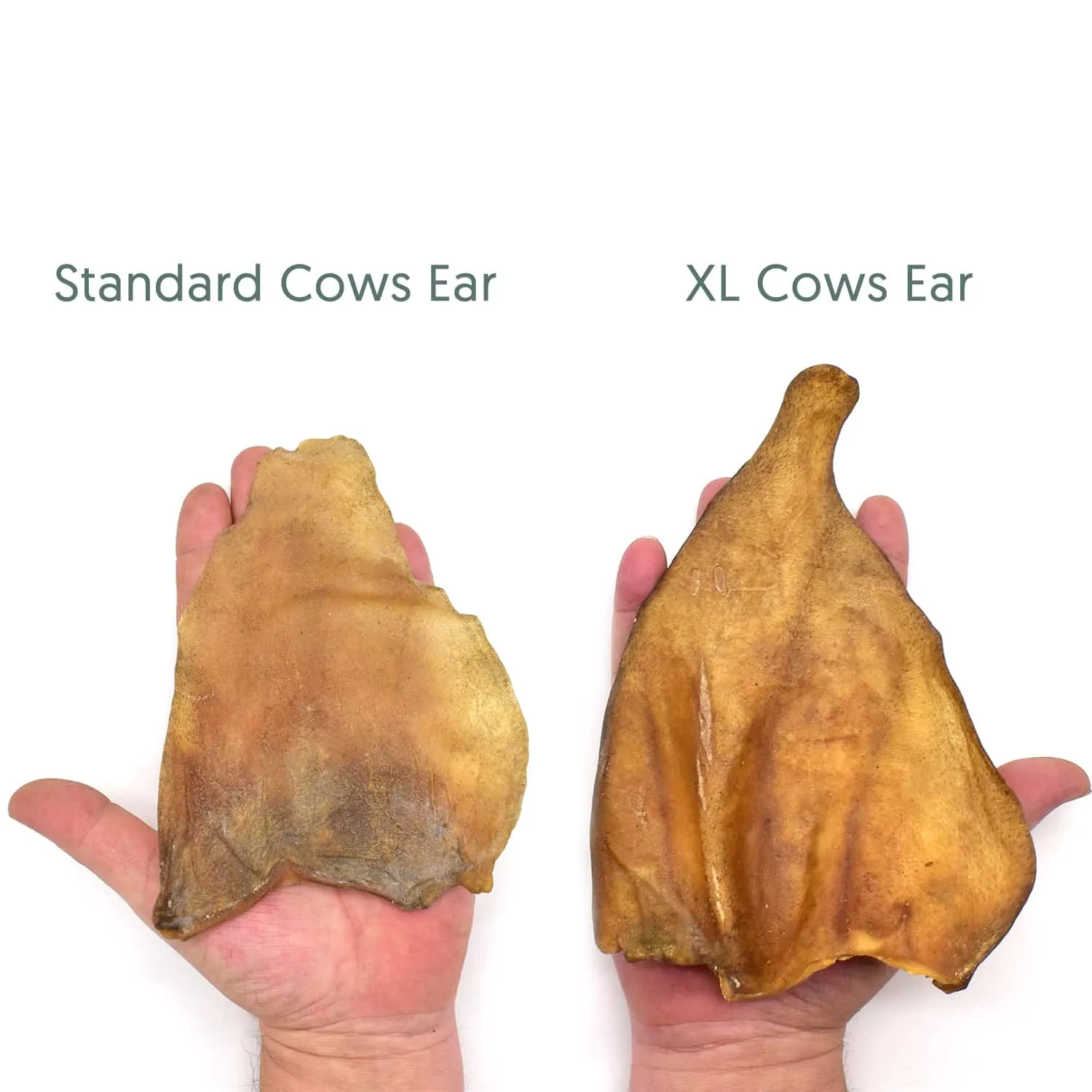 10 Thick & Tasty Beef Cows Ears