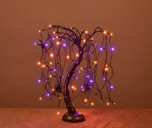 2' Halloween Willow Bonsai Tree Purple and Orange LEDs