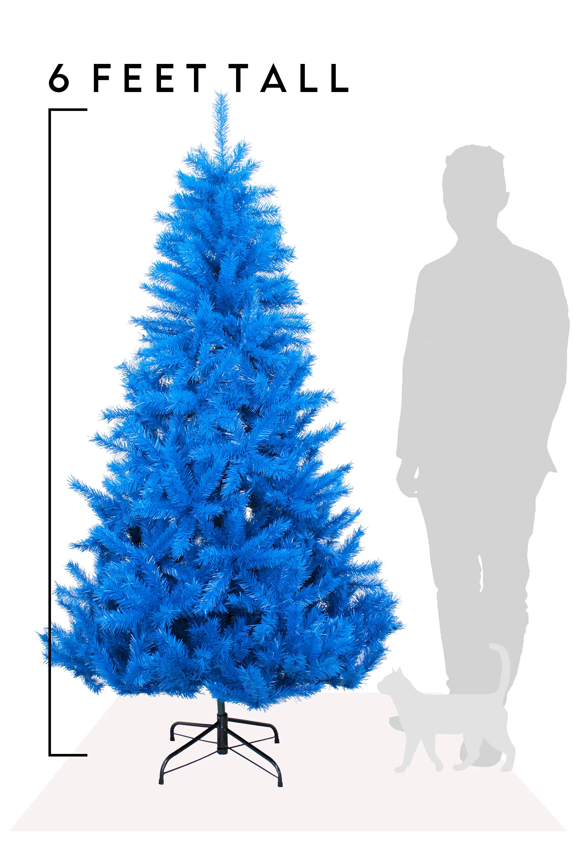 6' Blue Norway Pine Tree