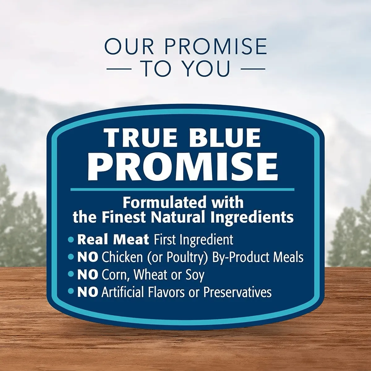 Blue Buffalo Wilderness Beef & Chicken Grill Canned Dog Food