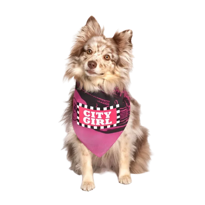 City Girl Dog Bandana by Dog Fashion Living