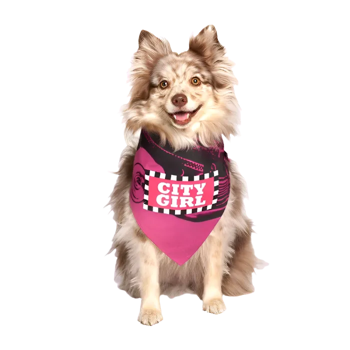 City Girl Dog Bandana by Dog Fashion Living