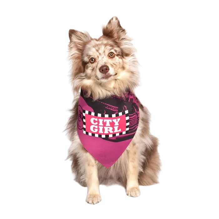 City Girl Dog Bandana by Dog Fashion Living