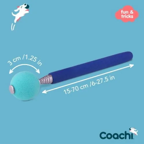 Coachi Navy & Light Blue Target Stick