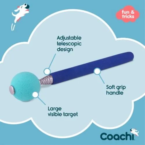 Coachi Navy & Light Blue Target Stick