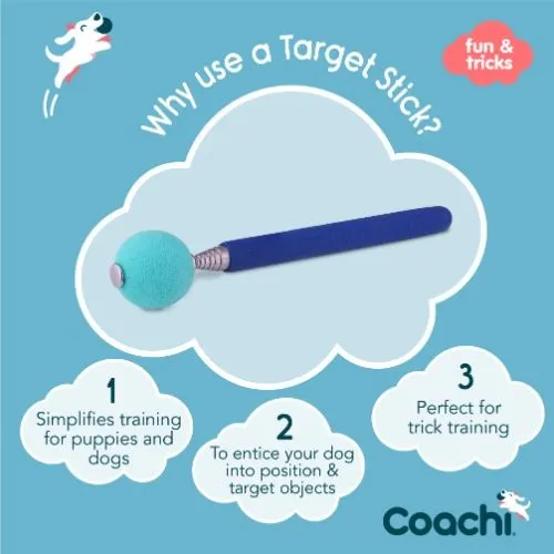 Coachi Navy & Light Blue Target Stick