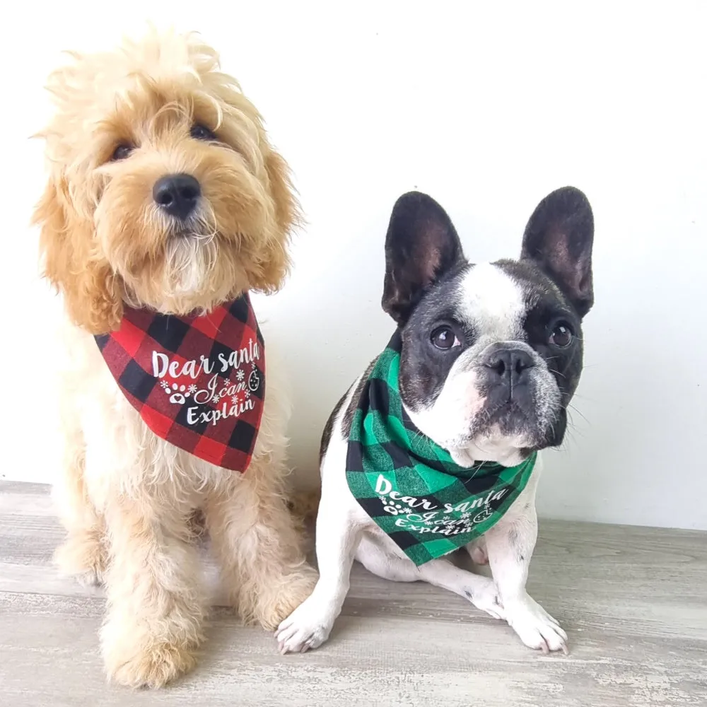 Dear Santa I Can Explain Red Plaid Bandana