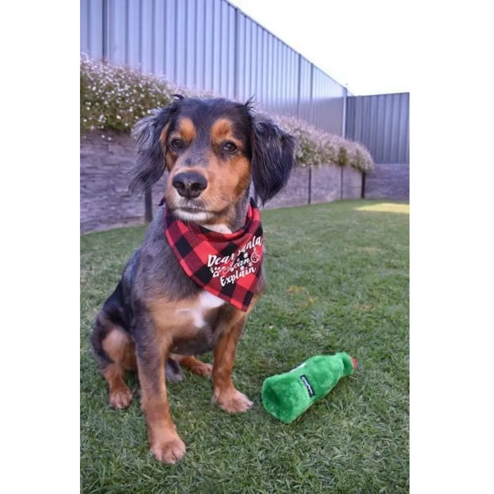 Dear Santa I Can Explain Red Plaid Bandana