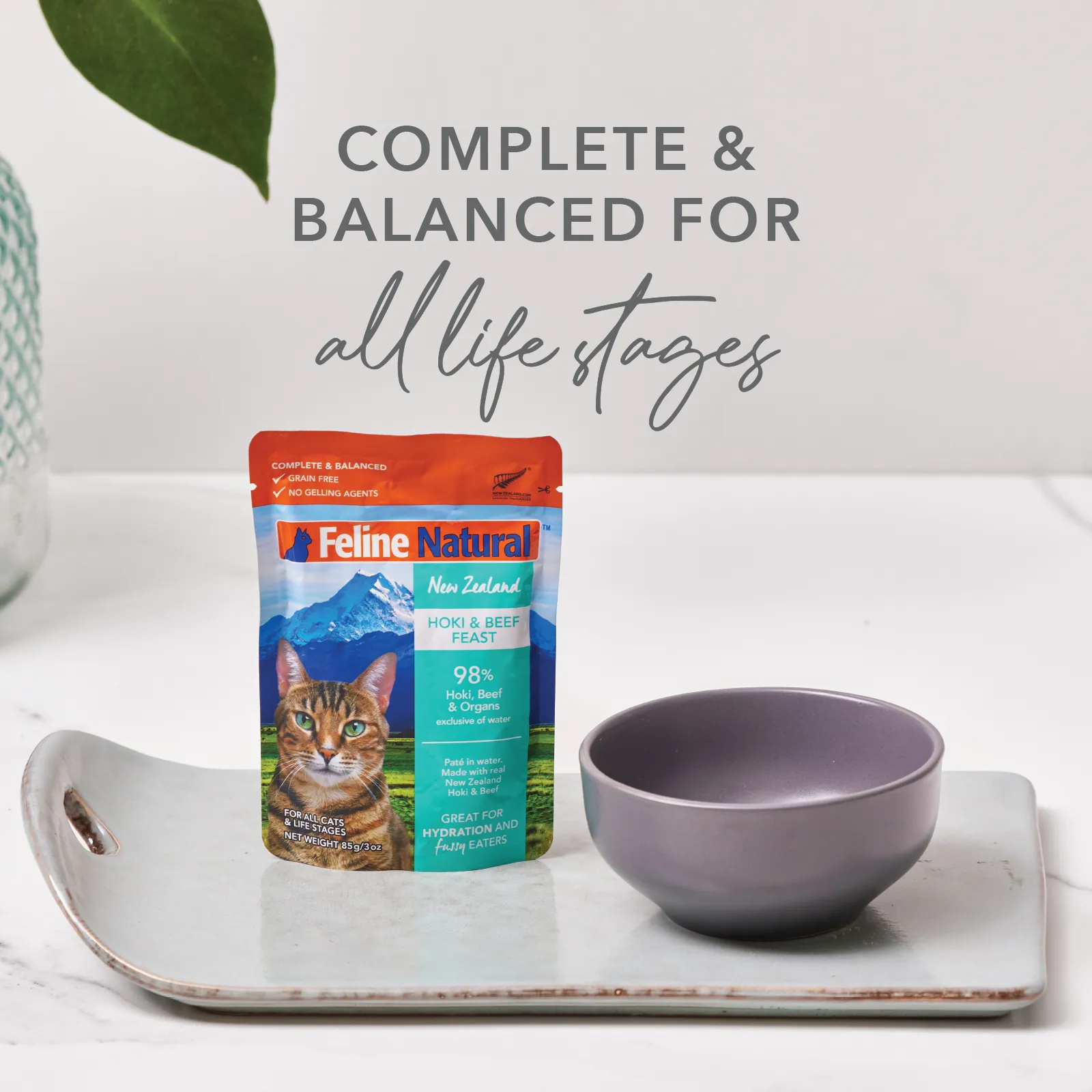 Feline Natural Grain Free Pouches Hoki & Beef Feast 85g x 12