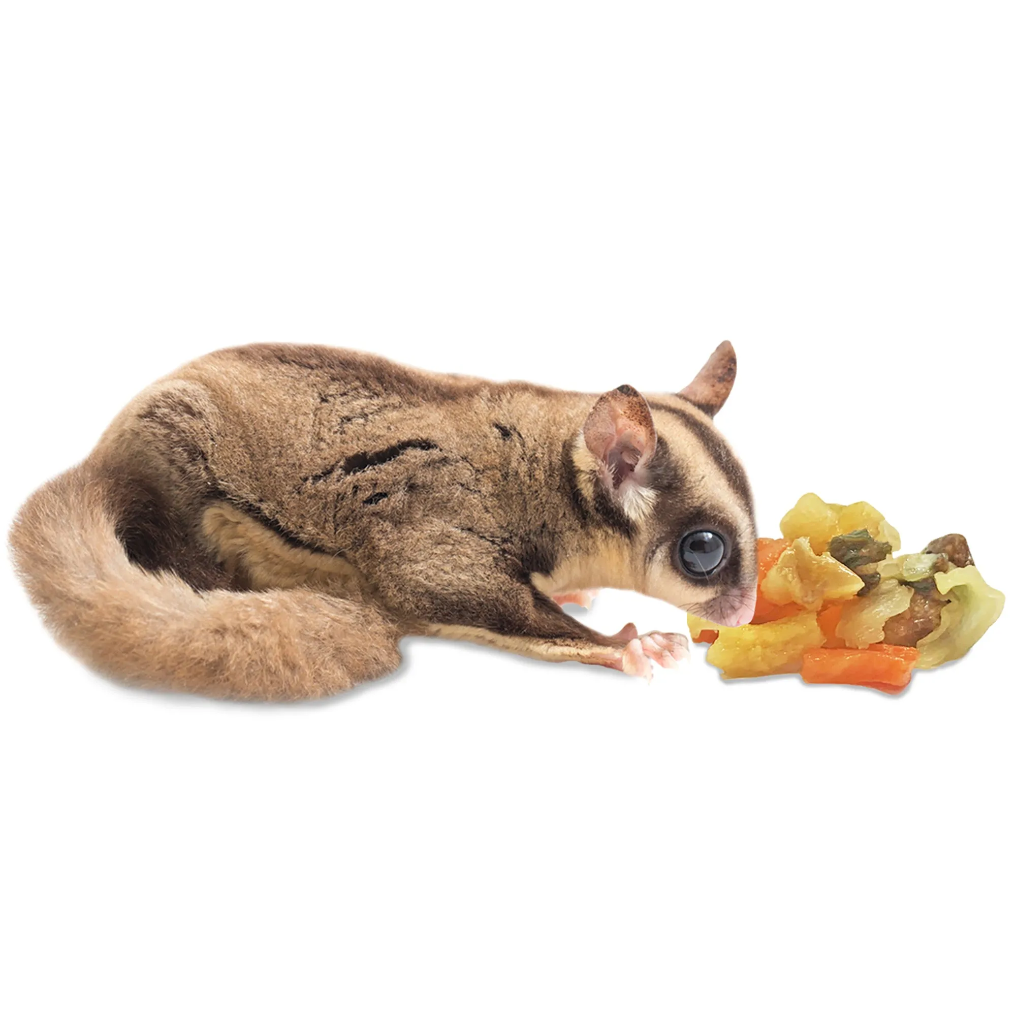 Glider Essential Deluxe Food Starter Package