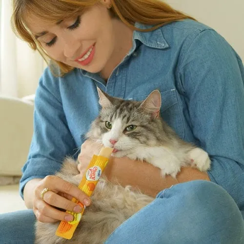 Inaba Churu Pops Tuna Recipe Cat Treat