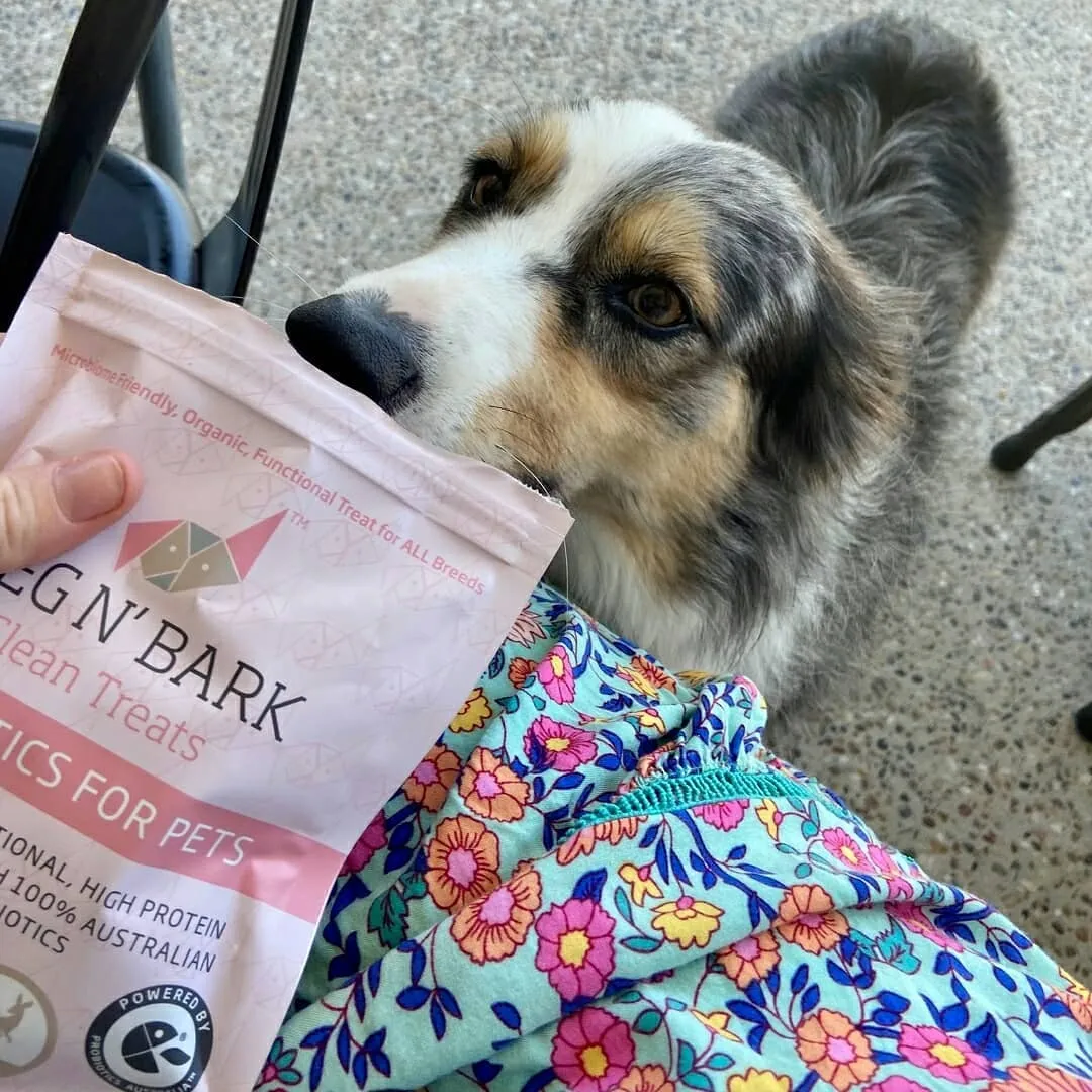 Ipromea Beg and Bark Probiotic Clean Treats for Dogs 100g^^^