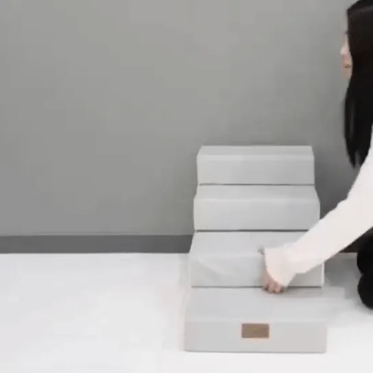 Pet Play Step