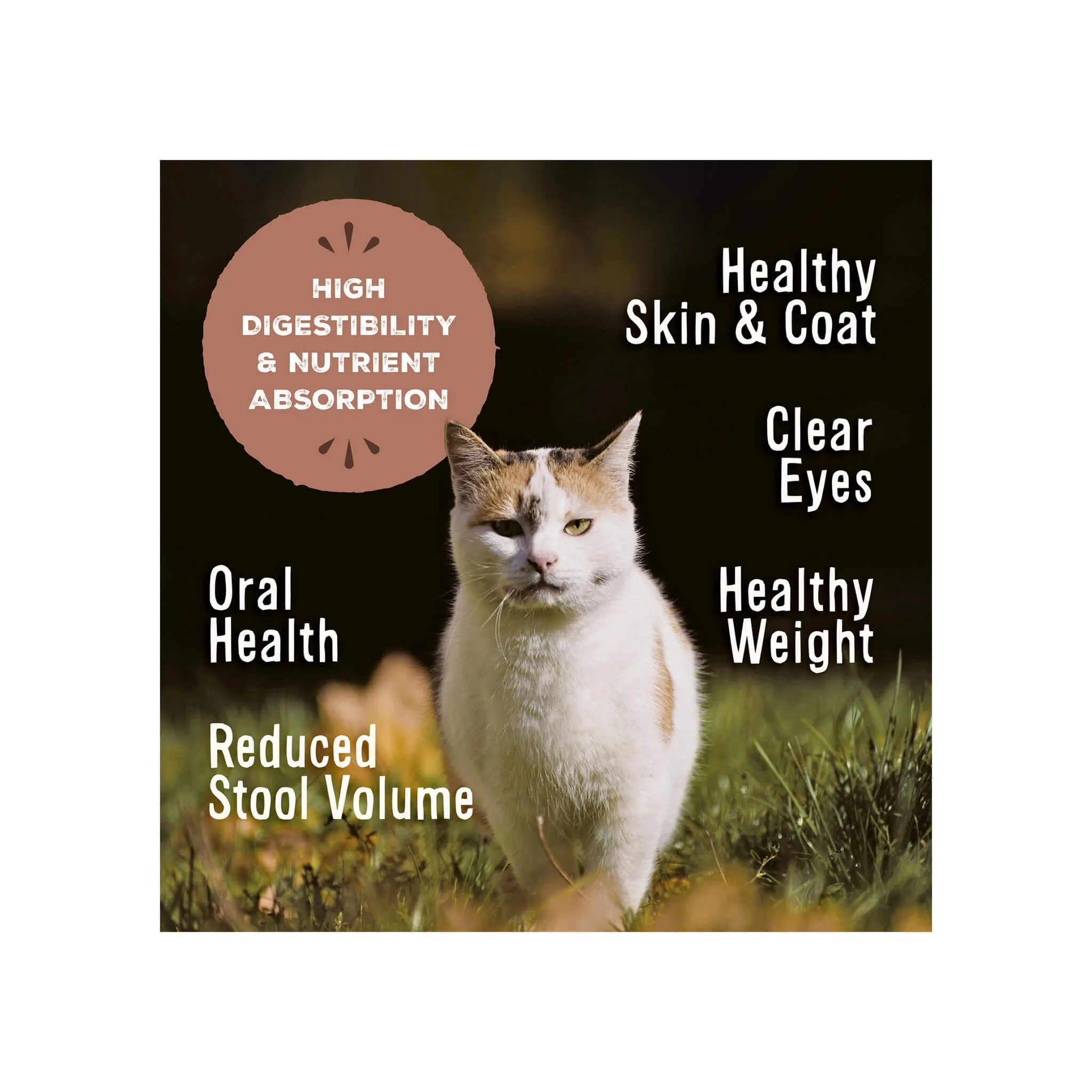 Primal Pet Foods Freeze-Dried Nuggets Cat Food