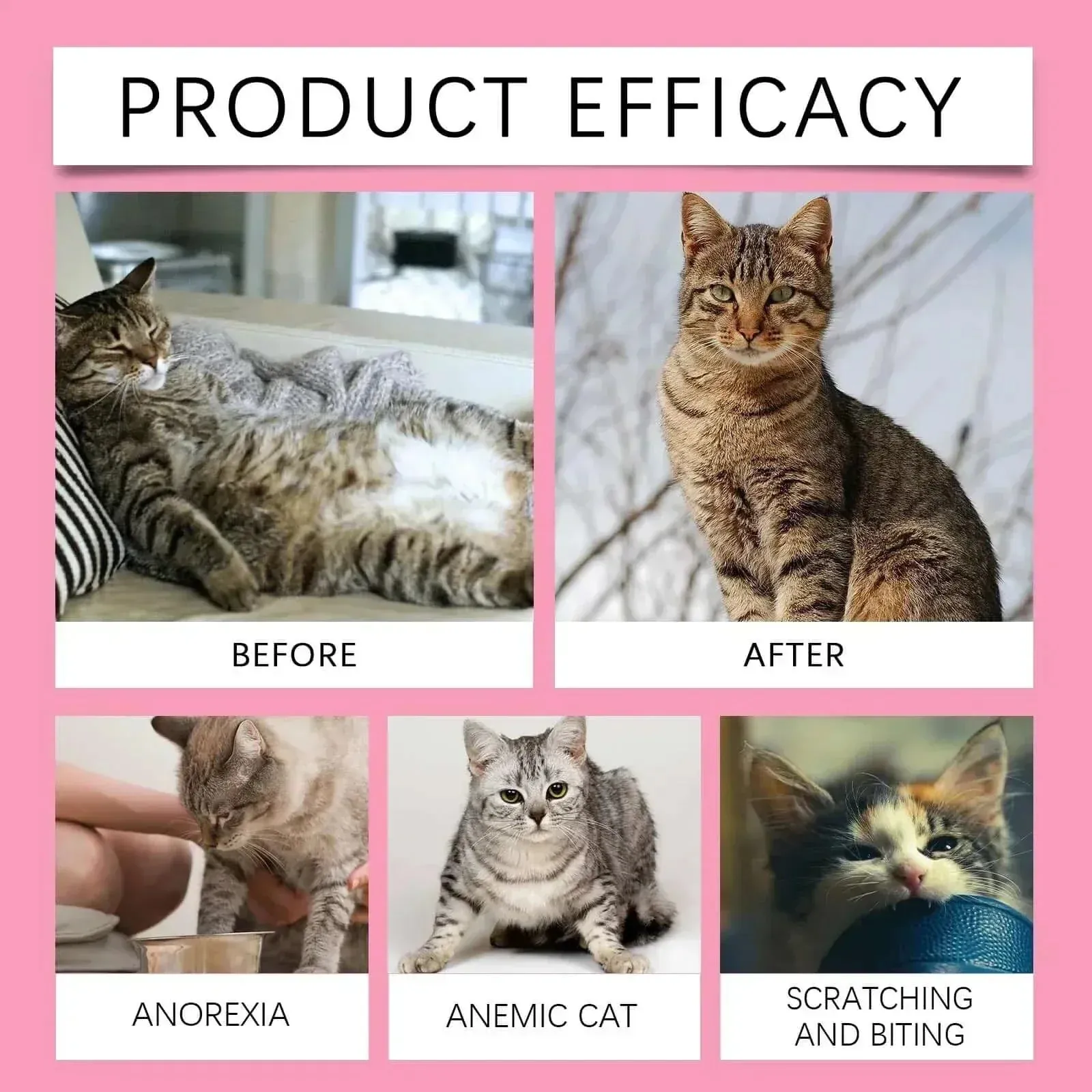 Relaxing Micronutrient Tablets for Cats – Balanced Diet & Vitamins