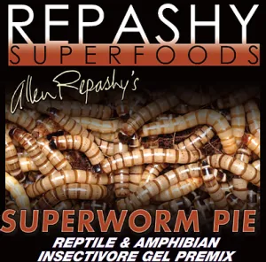 Repashy Superworm Pie (Special Order Product)