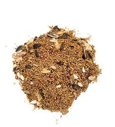 Robust Birdie's Delight | Nutritious Bird Food | for Budgies & Canaries | Small Birds | 1 Kg Pack