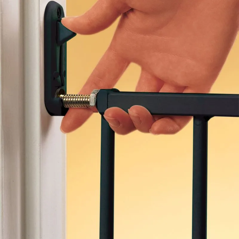 Safeway Wall Mount Gate