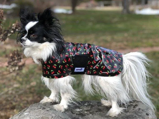 SnugPups Raincoats