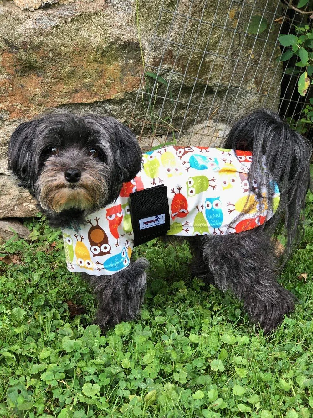 SnugPups Raincoats
