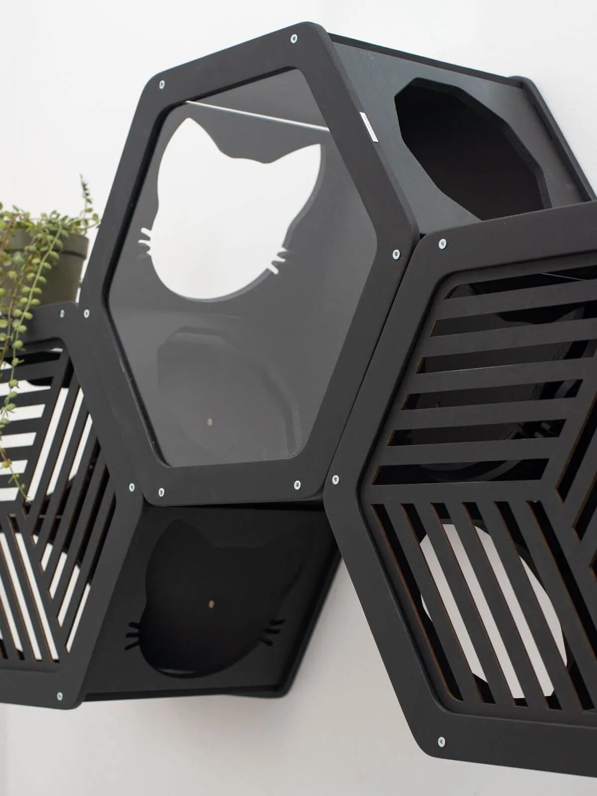 Wall Mount Cat Shelves Black