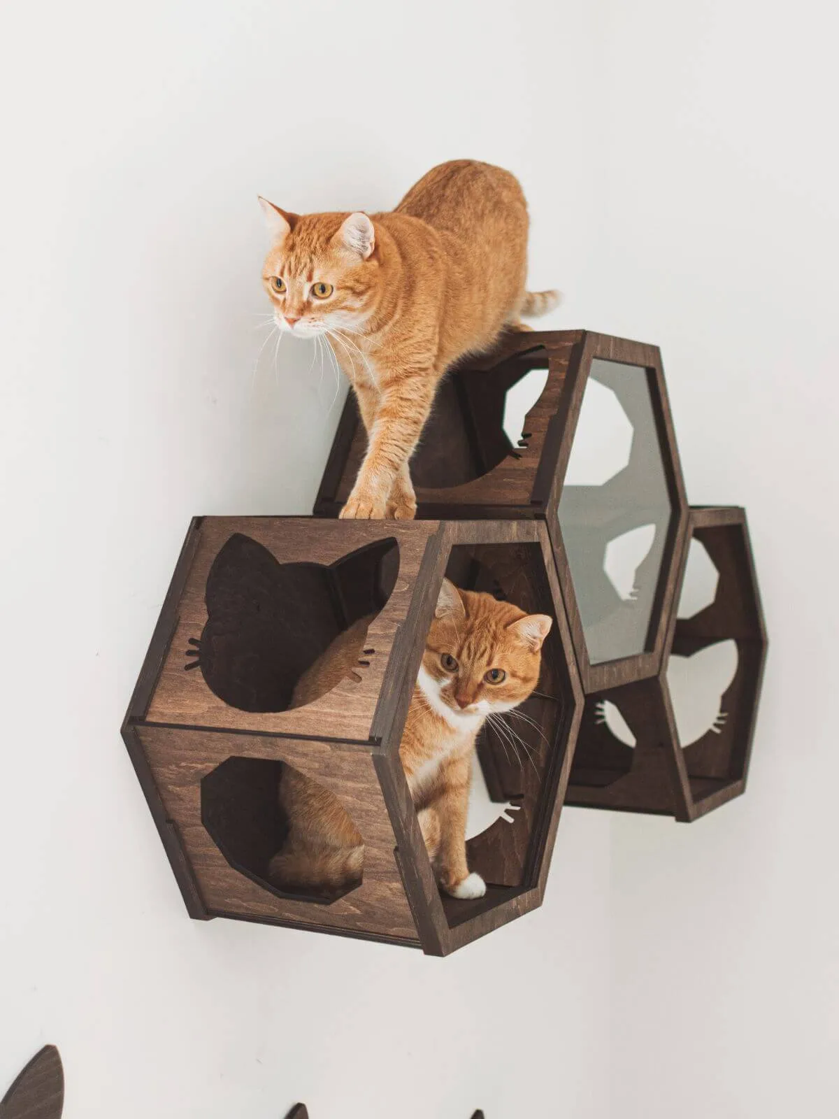 Wall Mount Cat Shelves Black
