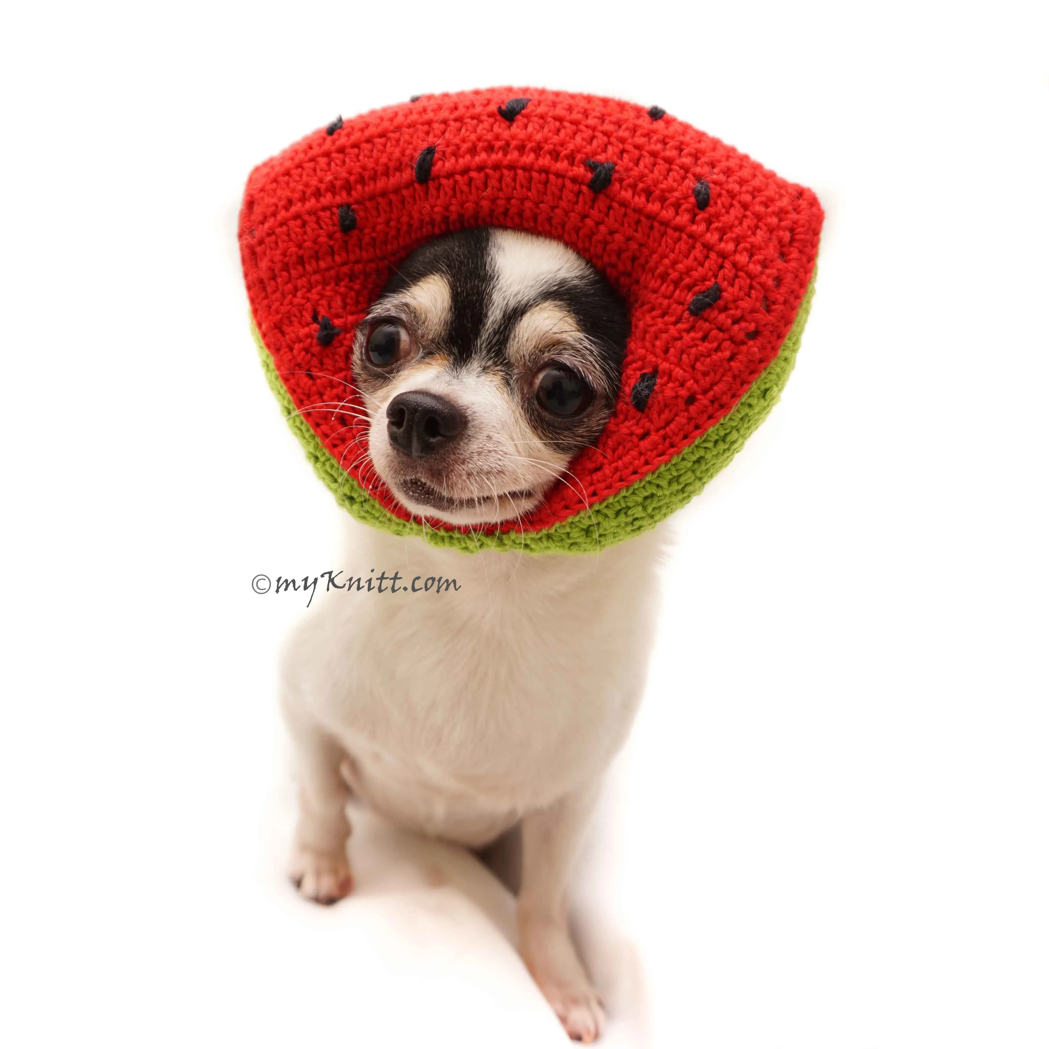 Watermelon Amigurumi Dog Toy Crochet, Watermelon Dog Hat Crochet DB11