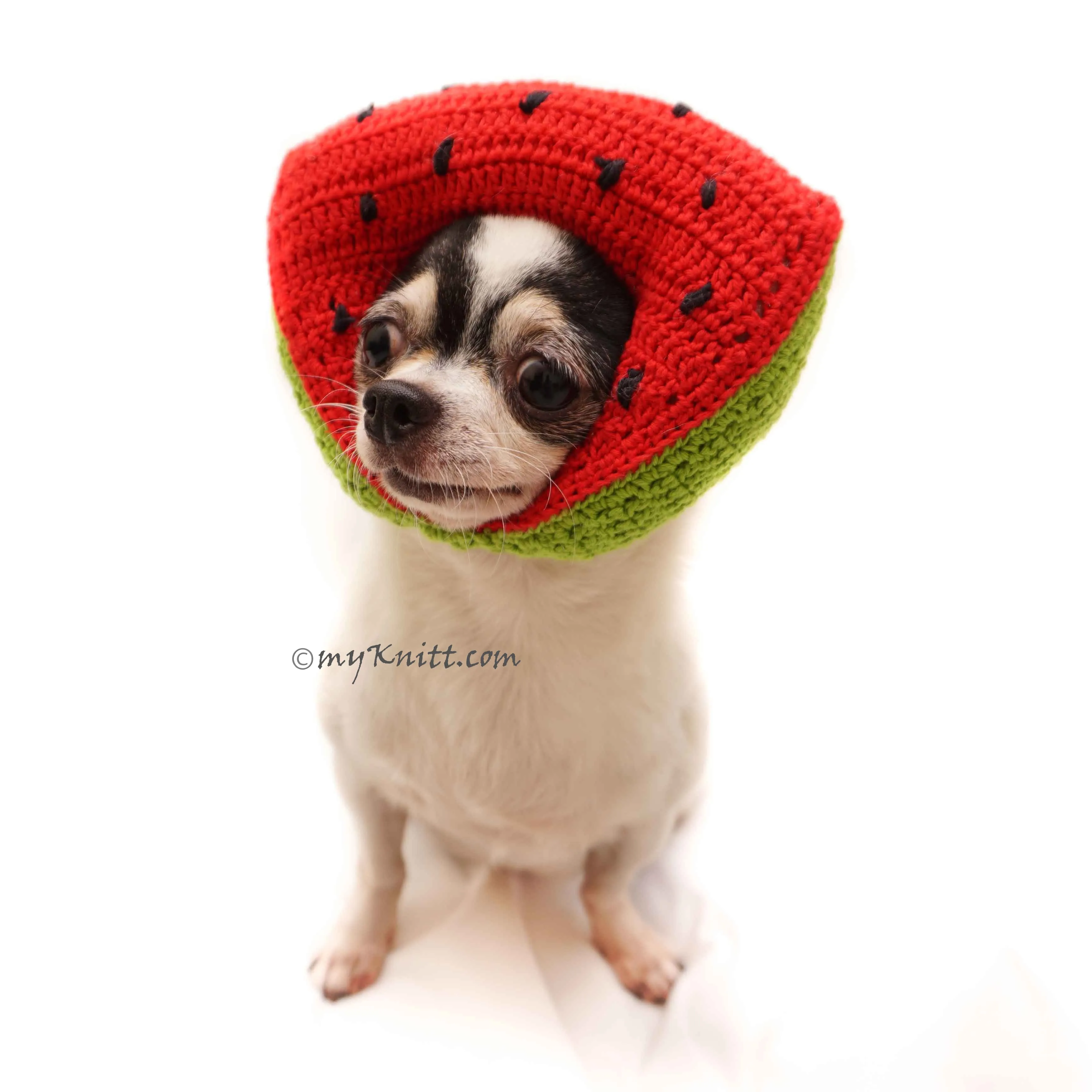 Watermelon Amigurumi Dog Toy Crochet, Watermelon Dog Hat Crochet DB11