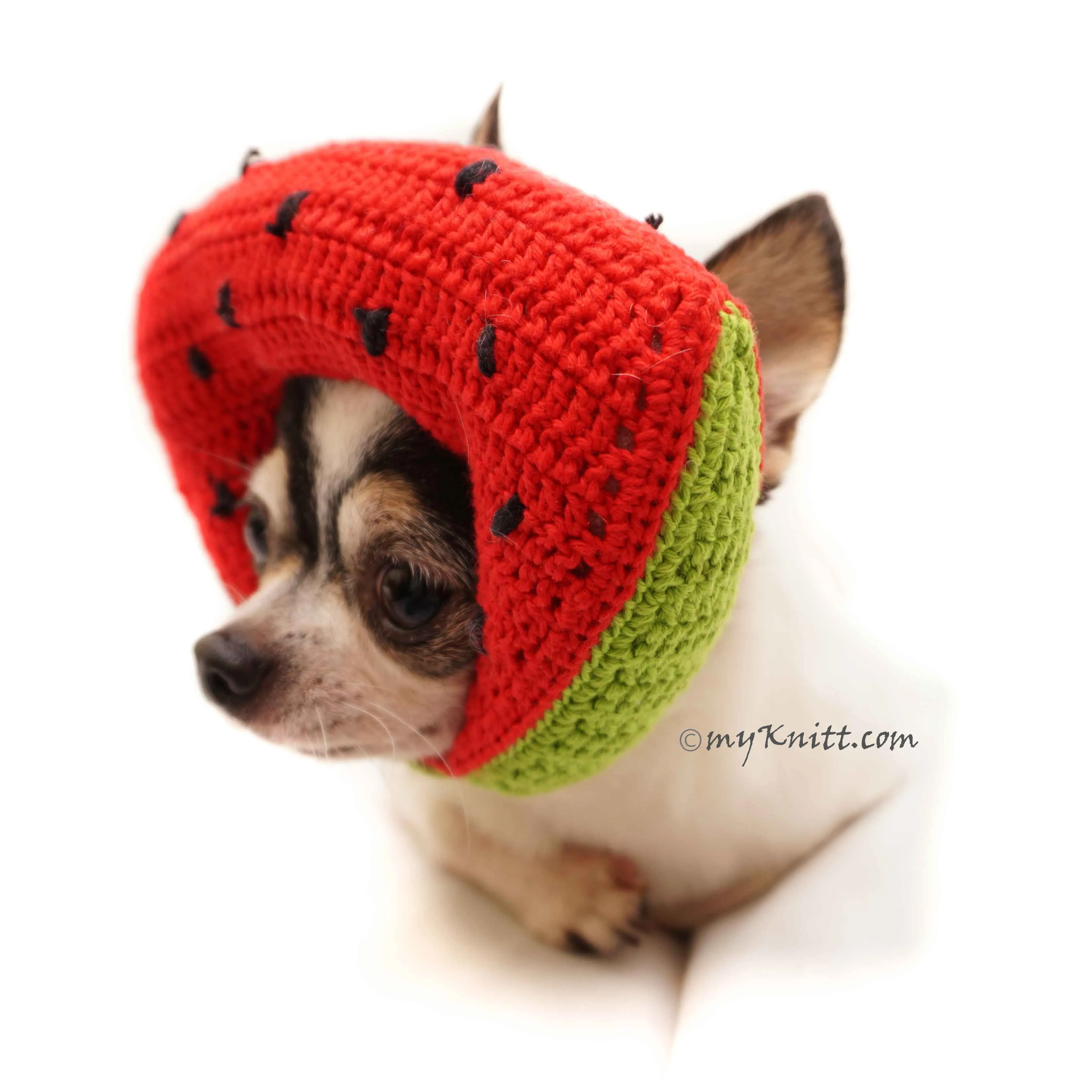 Watermelon Amigurumi Dog Toy Crochet, Watermelon Dog Hat Crochet DB11