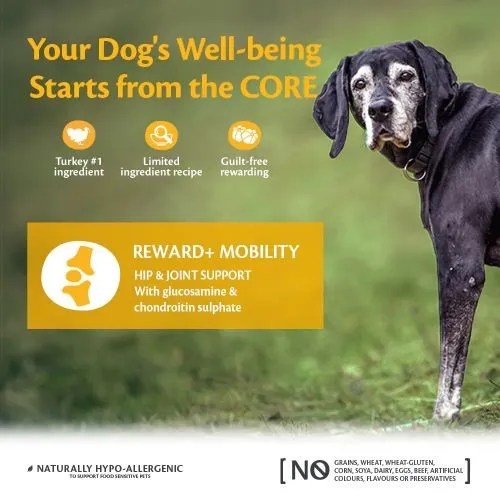 Wellness Core Reward  Dog Treats for Mobility with Turkey- 170g