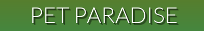 Pet Paradise – Luxury Carriers, Snuggly Beds, Waterproof Jackets & Grooming Kits